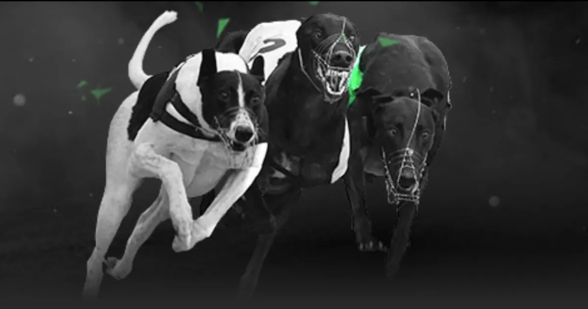 欧预赛首战,比利时以,击败瑞典,Ag亚游真人娱乐官网,Ag亚游真人视讯平台,Ag亚游真人电子游戏,Ag亚游真人体育电竞,Ag亚游真人棋牌彩票,Asia,Gaming