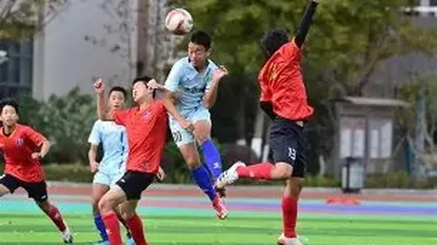 大乐透期号专家推荐：质合分析揭示胜率差距
